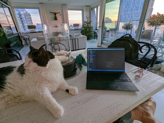Gameye team member working remotely